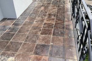 WhatsApp Image 2022-07-22 at 10.05.11 AM (19)