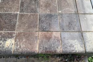 WhatsApp Image 2022-07-22 at 10.05.11 AM (20)